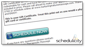 Easy to Integrate Online Scheduling with Schedulicity